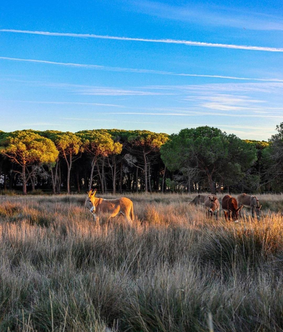 Vue D'or Les Pieds Dans L'eau Apartamento La Londe-les-Maures